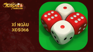 Xí ngầu